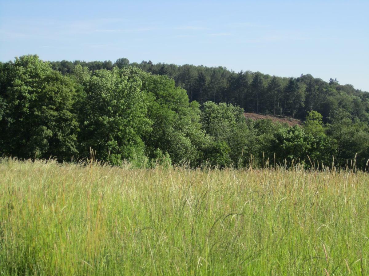 Ferienwohnung Erlenhof Engelskirchen Exteriör bild